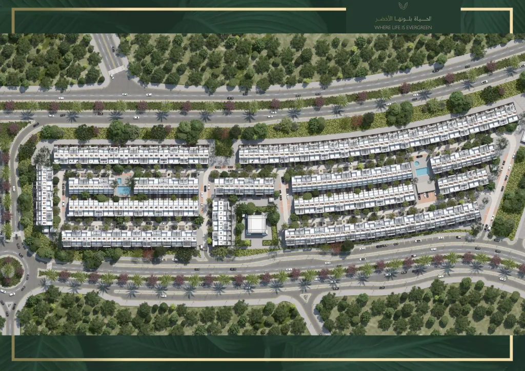 Verdana Phase 6 By Reportage