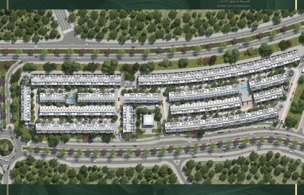 Verdana Phase 6 By Reportage